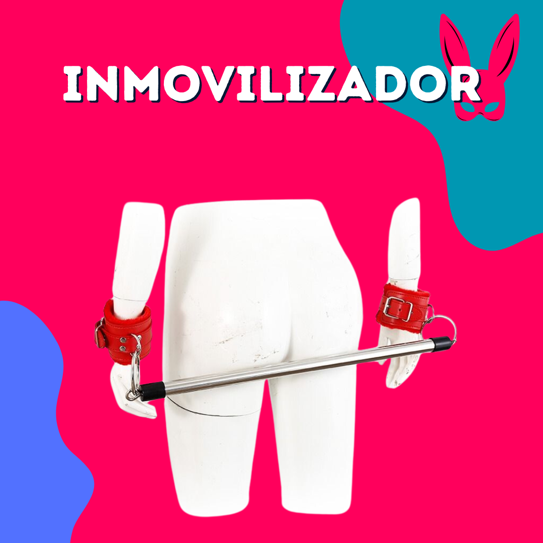 Zepo Inmovilizador