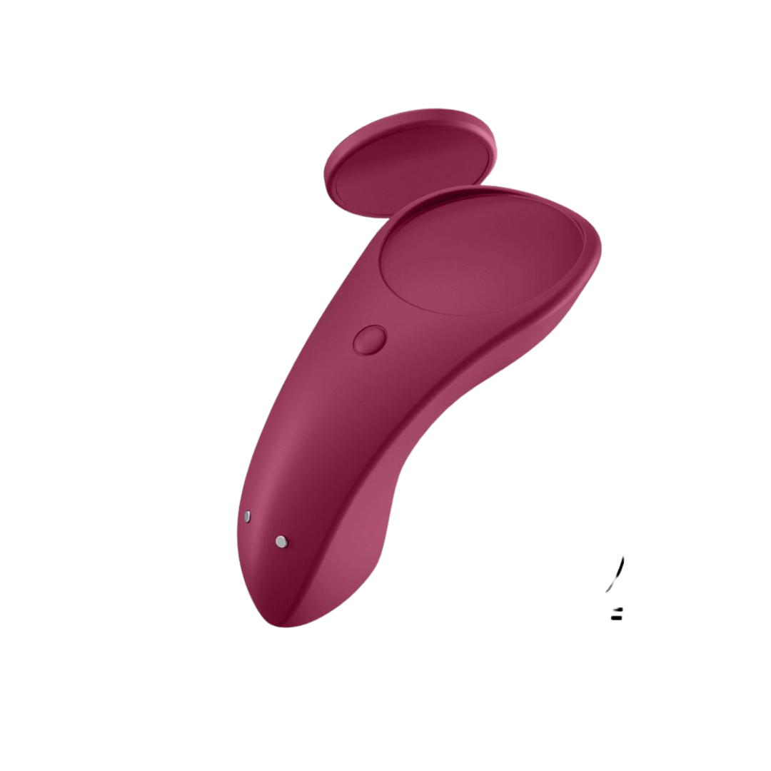 Satisfyer Sexy Secret APP